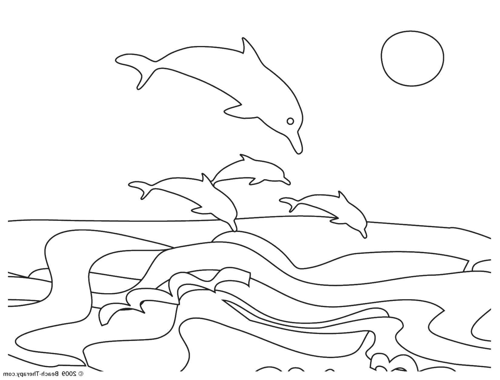 Название: Раскраска Стая дельфинов прыгает из воды. Категория: морское. Теги: Подводный мир, дельфин.