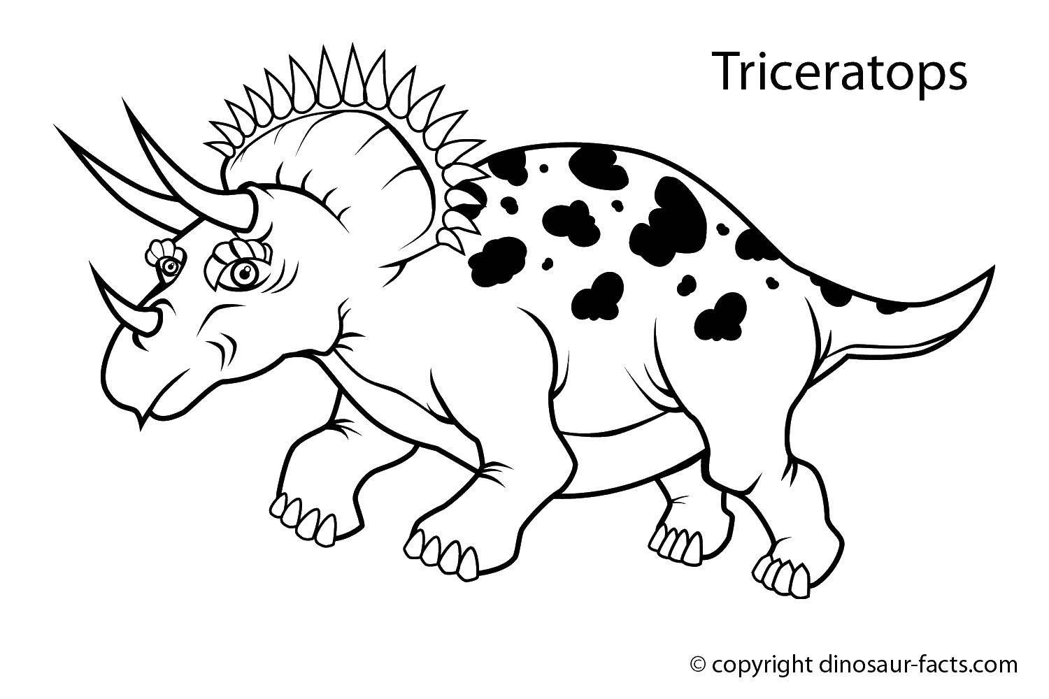 Название: Раскраска Трицератопс с большими рогами. Категория: парк юрского периода. Теги: Динозавры.