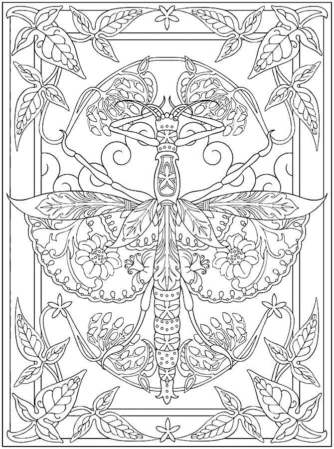 Coloring Antistress. Category coloring. Tags:  insects, patterns, anti-stress.