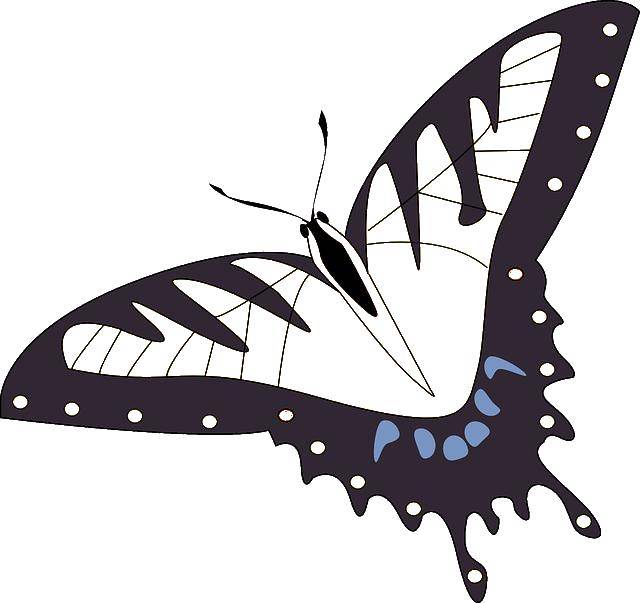 Название: Раскраска Бабочка с узором. Категория: Контуры насекомые. Теги: бабочка.