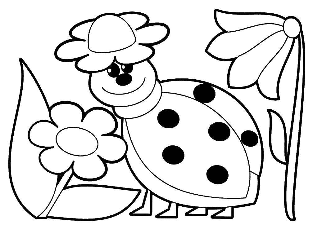 Coloring Ladybug and flowers. Category ladybug. Tags:  insects, ladybug.