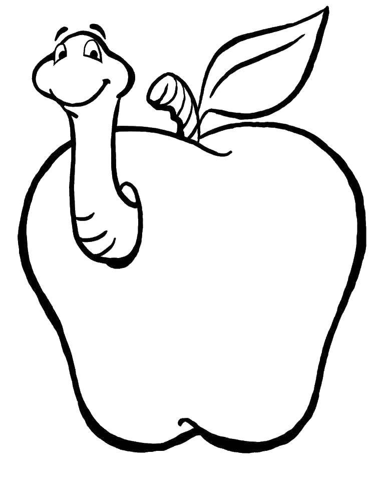 Название: Раскраска Червяк в яблоке. Категория: яблоко. Теги: червяки, яблоки.