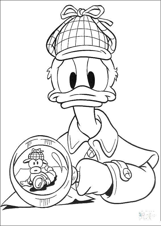 Coloring Donald detective. Category duck tales. Tags:  Donald duck, Mickey mouse.