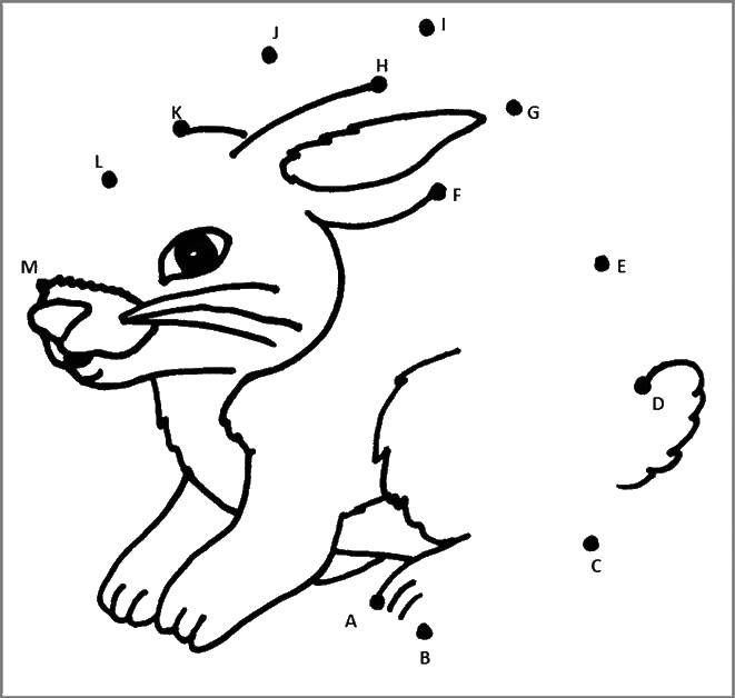 Название: Раскраска Дорисуй зайчика по точкам. Категория: Нарисуй по точкам. Теги: по точкам, кролик, животные.