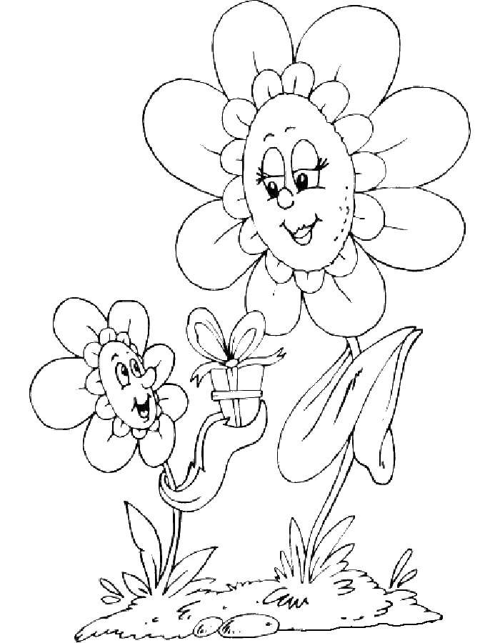 Coloring Two daisies. Category flowers. Tags:  the flowers of chamomile..