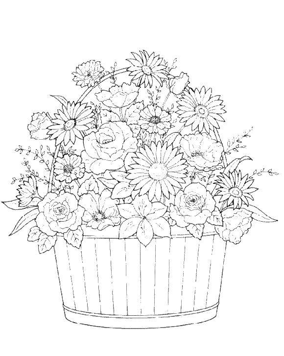 Название: Раскраска Корзина с пышным букетом. Категория: цветы. Теги: цветы, букет, корзинка.