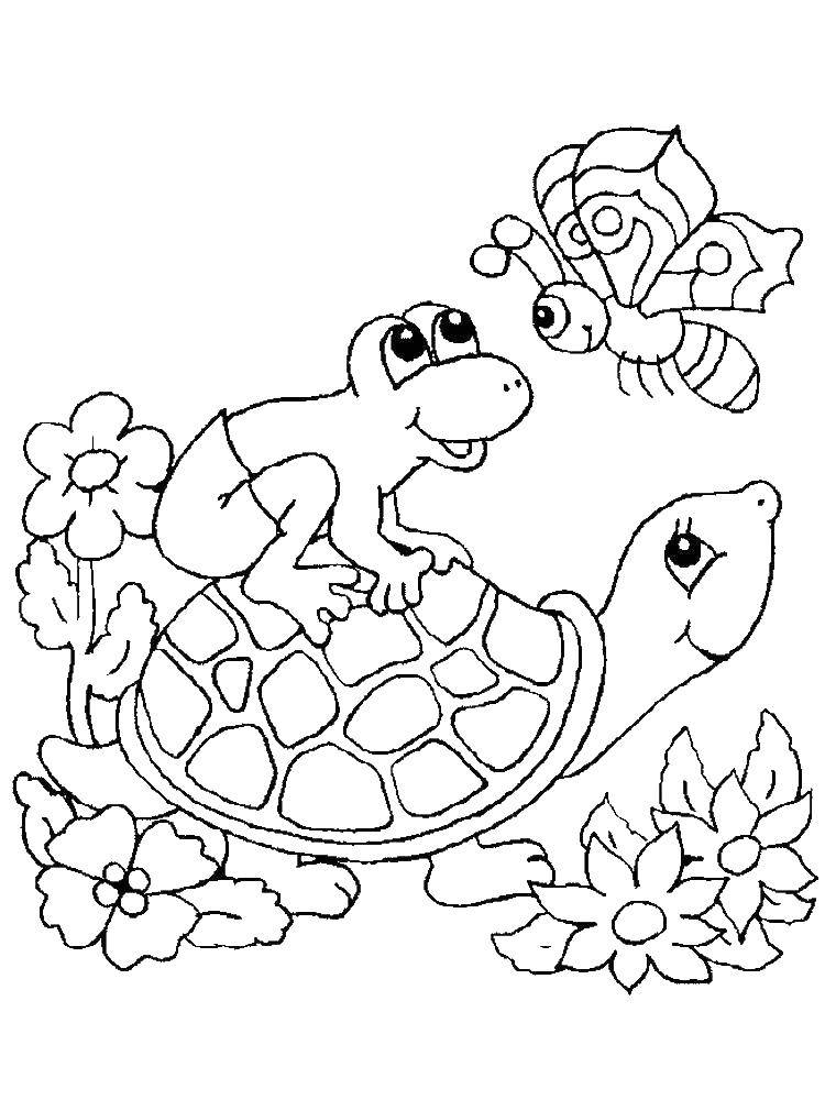 Название: Раскраска Лягушка сидит на черепахе. Категория: морская черепаха. Теги: лягушка, черепаха.