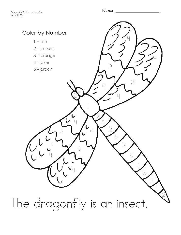 Coloring Math coloring pages dragonfly. Category mathematical coloring pages. Tags:  mathematical coloring pages, dragonfly.