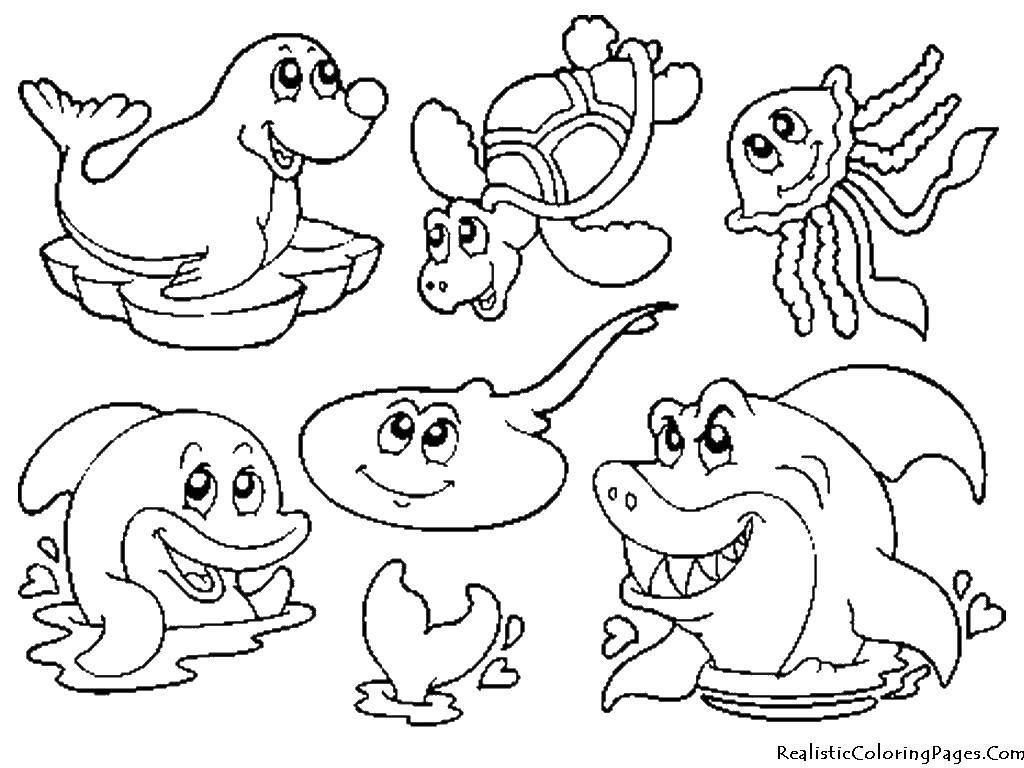 Coloring Marine animals. Category Marine animals. Tags:  marine animals, marine animals.
