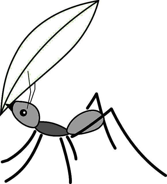 Название: Раскраска Муравей с листочком. Категория: Контуры насекомые. Теги: Муравей.