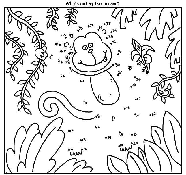 Coloring Paint by numbers fun monkey. Category Draw points. Tags:  The sample numbers.