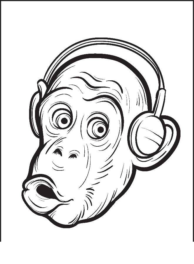 Coloring Monkey with headphones. Category cartoons. Tags:  APE.