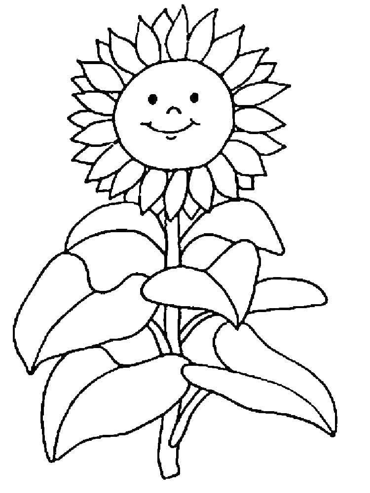 Coloring Sunflower with smiley face. Category coloring. Tags:  sunflowers, flowers.