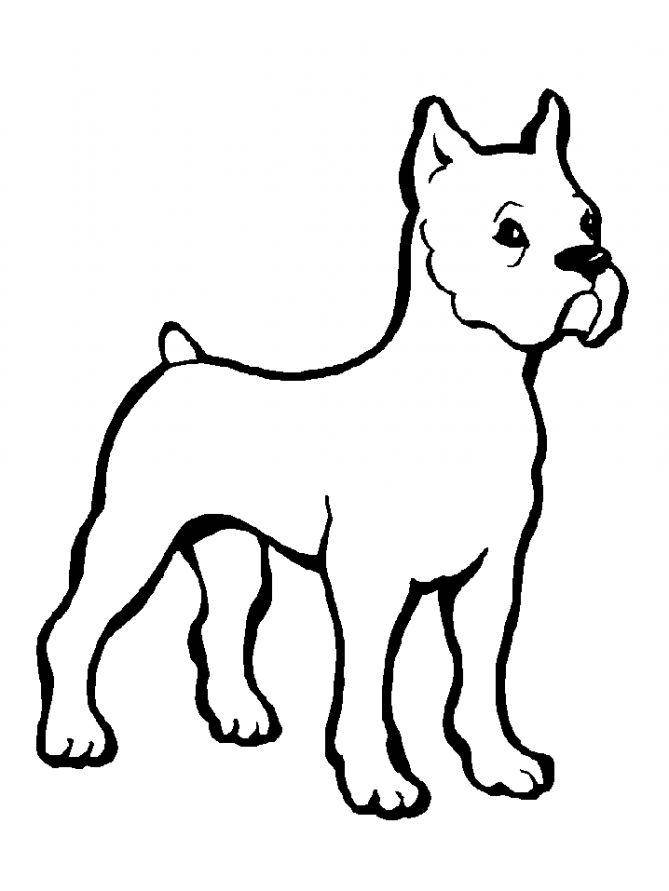 Название: Раскраска Рисунок собаки. Категория: домашние животные. Теги: Собака.