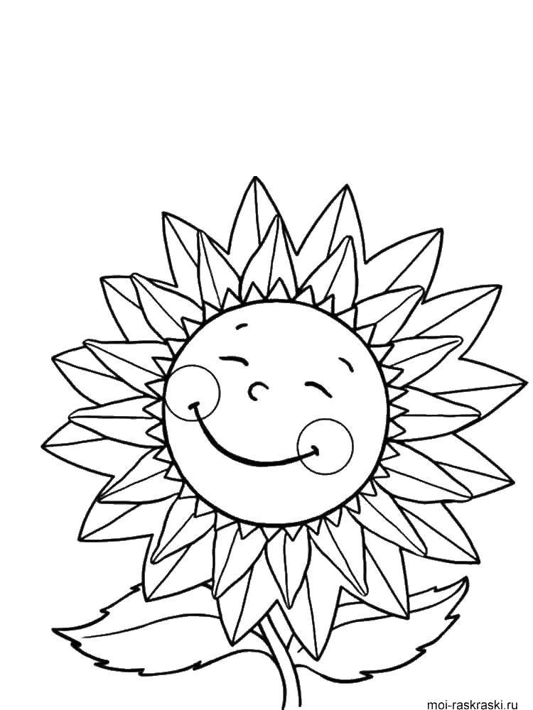 Название: Раскраска Солнечный цветок. Категория: раскраски. Теги: Цветы.