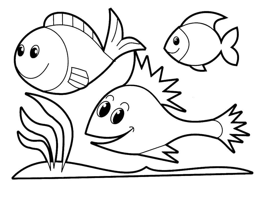Название: Раскраска Три рыбки и водоросли. Категория: раскраски. Теги: рыбы, водоросли, плавники.