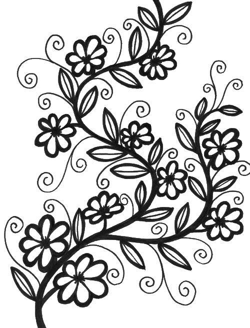 Coloring Floral pattern. Category patterns. Tags:  patterns, flowers.