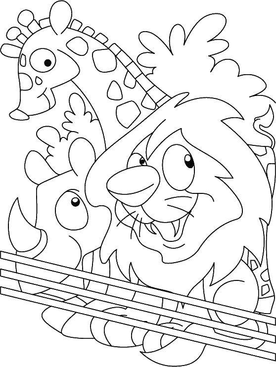 Coloring The zoo animals behind the fence. Category Zoo. Tags:  zoo, animals.