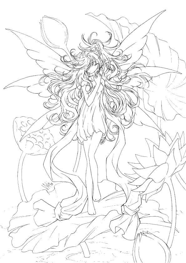 Coloring Fairy. Category anime. Tags:  coloring, fairy, flowers.