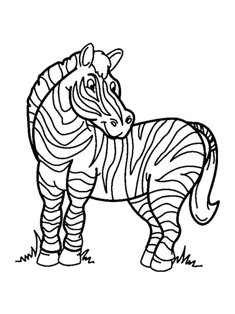Название: Раскраска Игривая зебра. Категория: зебра. Теги: Животные, зебра.