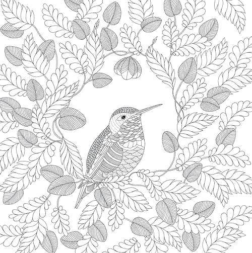 Coloring Hummingbird in the leaves. Category coloring. Tags:  Bathroom with shower.