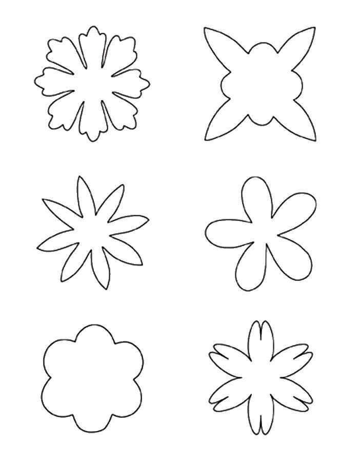 Coloring The edges of the flowers. Category flowers. Tags:  the flowers, the contours, patterns.