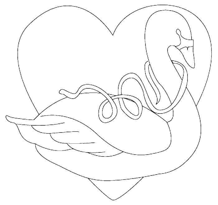 Название: Раскраска Лебедь с лентой и сердце. Категория: день святого валентина. Теги: День Святого Валентина, любовь, сердце, лебедь.