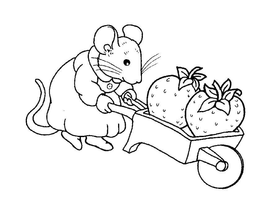 Название: Раскраска Мышка везёт землянику. Категория: раскраски. Теги: Ягоды.
