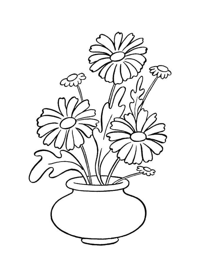 Coloring Multiple flowers. Category flowers. Tags:  Flowers.