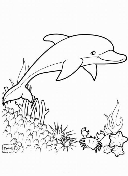 Название: Раскраска Рисунок дельфина в коралловом рифе. Категория: домашние животные. Теги: дельфин.