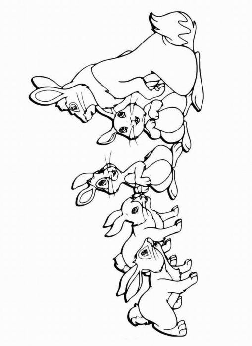 Название: Раскраска Рисунок семейства зайцов. Категория: домашние животные. Теги: заяц, кролик.