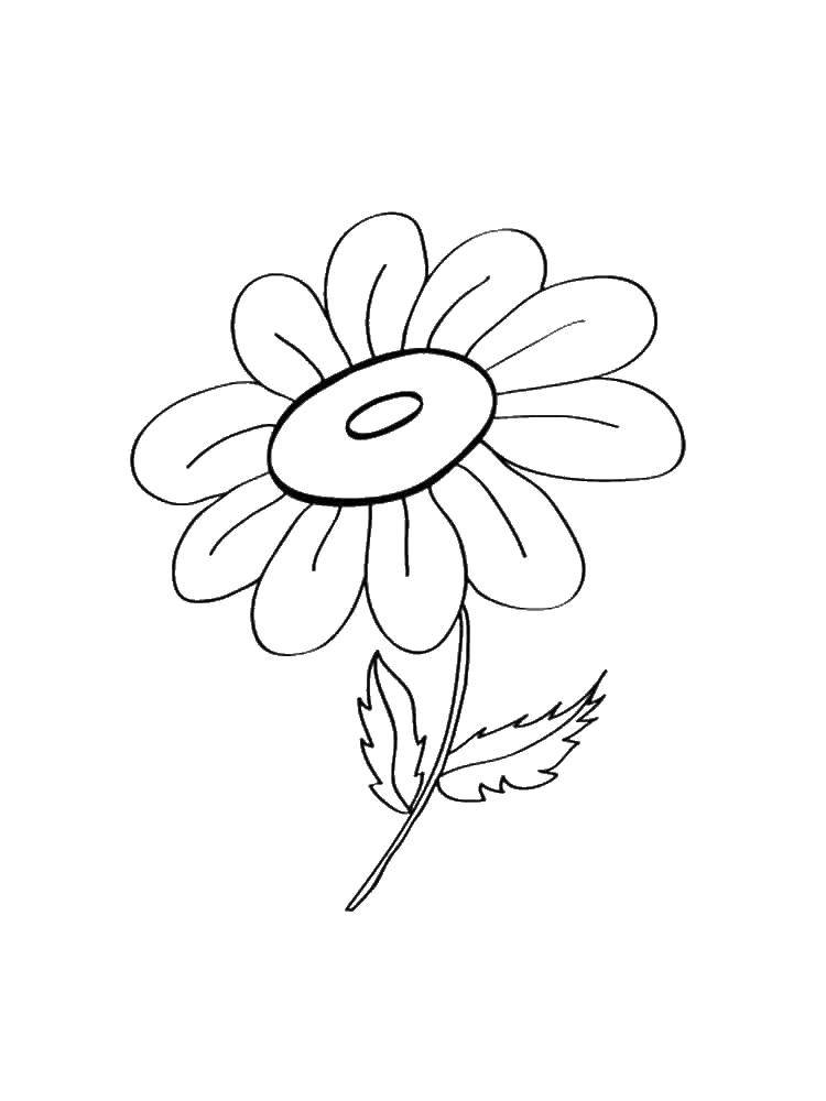 Coloring Romashishka. Category coloring. Tags:  flowers, chamomile.