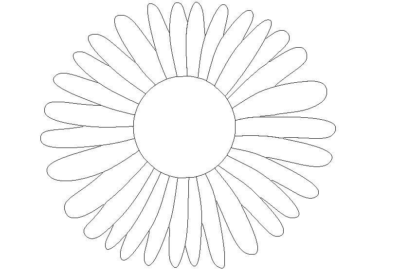 Coloring Daisy.. Category flowers. Tags:  chamomile, flowers, plants.