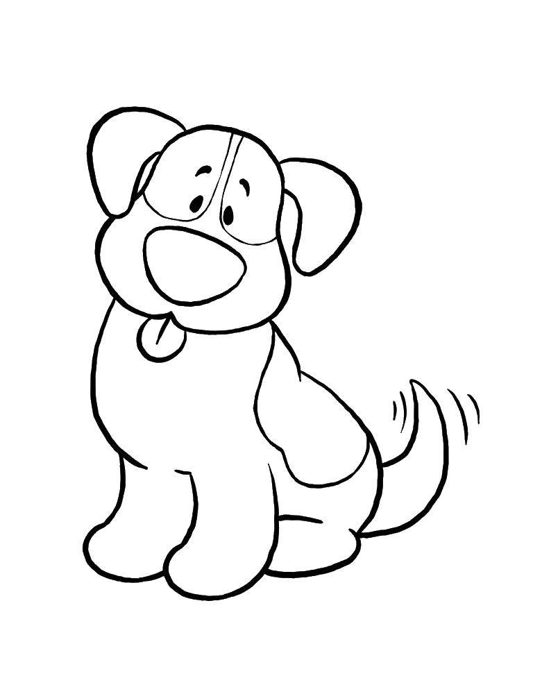 Coloring The puppy wags its tail. Category dogs. Tags:  puppy, tail, tongue.