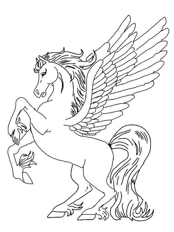 Coloring Fairy Pegasus. Category Animals. Tags:  Animals, Pegasus.