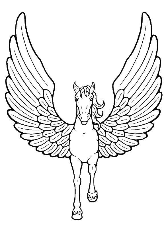 Coloring Fairy Pegasus. Category Animals. Tags:  Animals, Pegasus.