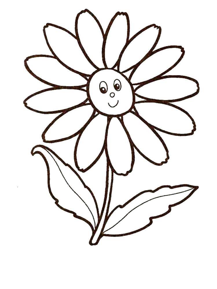 Coloring Flower loves to smile for the sun. Category coloring. Tags:  Flowers.