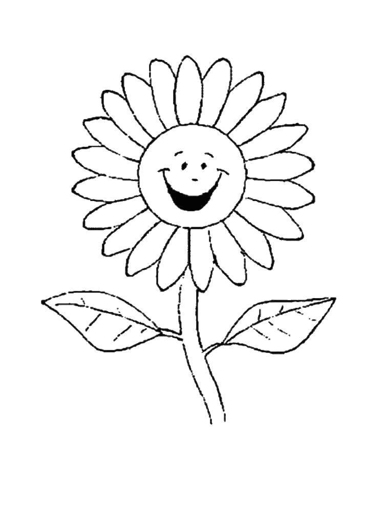 Coloring Fun flower. Category coloring. Tags:  daisies, flowers.