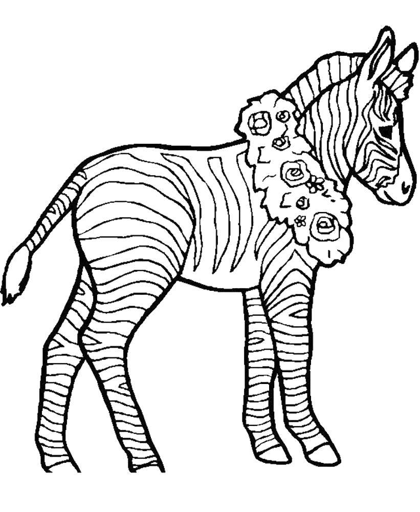 Название: Раскраска Зебра в цветах. Категория: зебра. Теги: Животные, зебра.