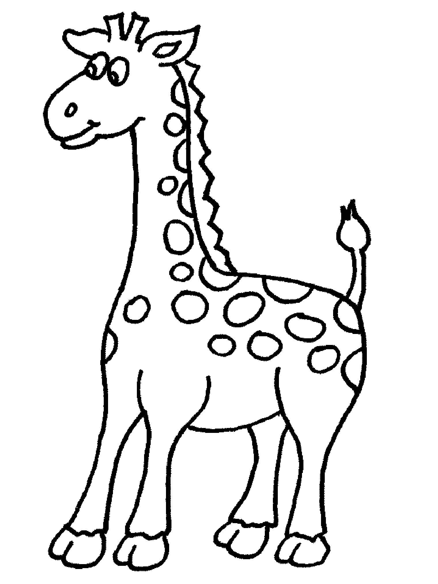 Название: Раскраска Жирафик любознателен. Категория: Животные. Теги: Животные, жираф.