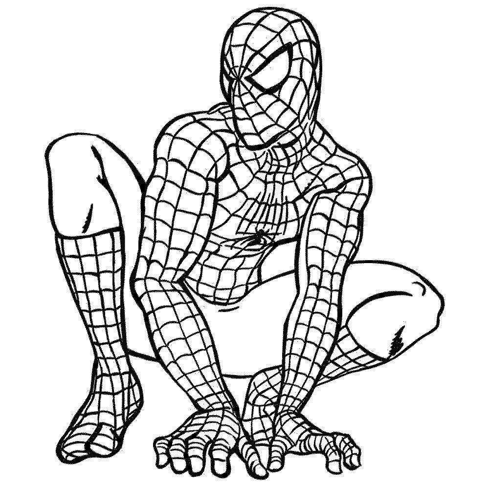 Coloring Spider-man. Category Cartoon character. Tags:  Cartoon character, Spiderman, comics.