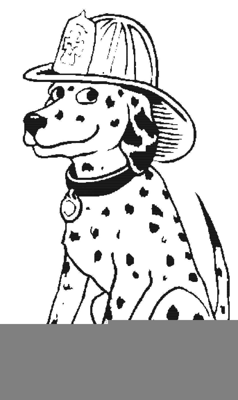 Название: Раскраска Далматинец в пожарной каске. Категория: собаки. Теги: далматинец, каска, ошейник, пожарный.