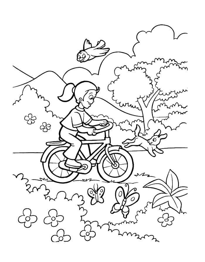 Название: Раскраска Девочка катается в лесу на велосипеде. Категория: раскраски. Теги: девочка, велосипед.