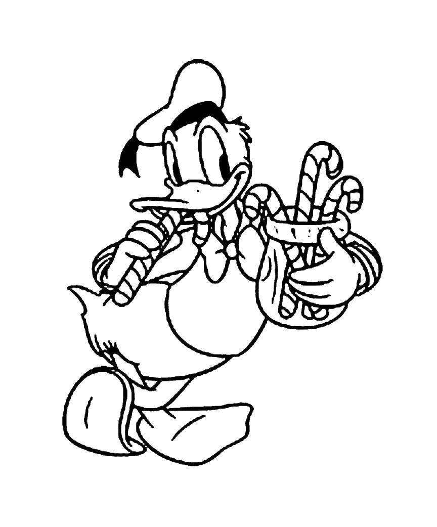 Coloring Donald duck loves sweets. Category Disney cartoons. Tags:  Disney, Ducktales, Donald Duck.
