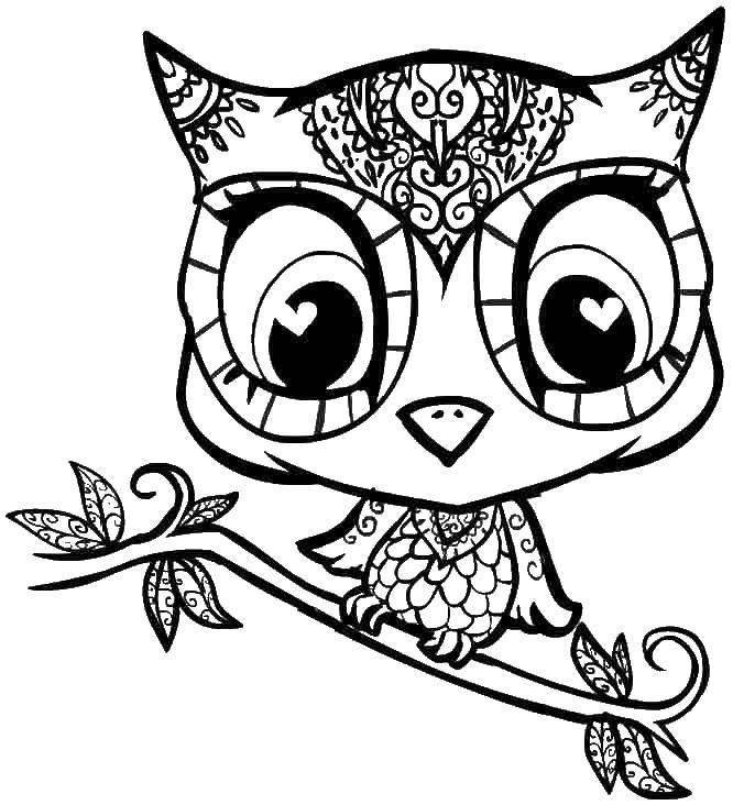 Coloring Ethnic owl. Category patterns. Tags:  Patterns, ethnic, owl.