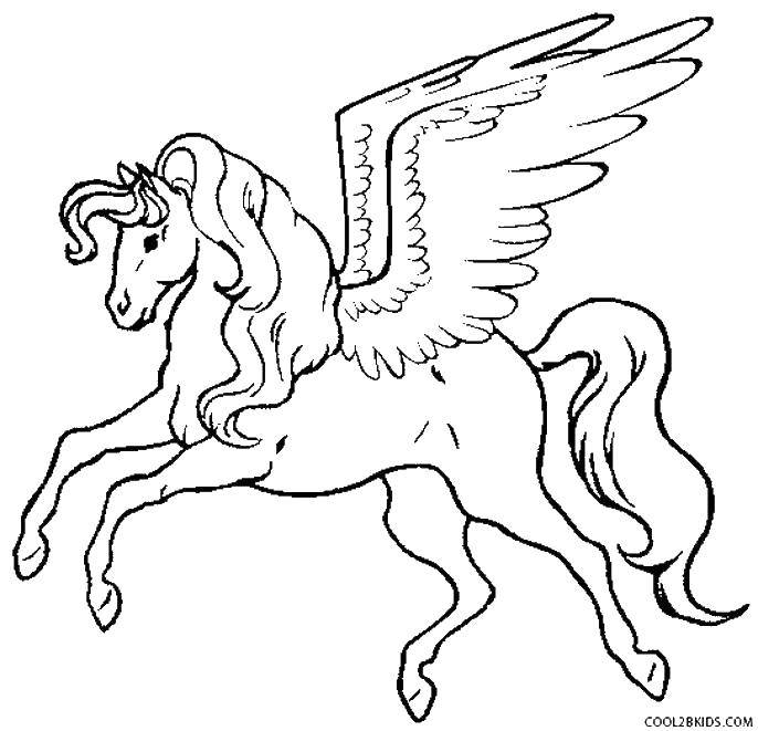 Coloring Graceful Pegasus. Category coloring. Tags:  Magic create.
