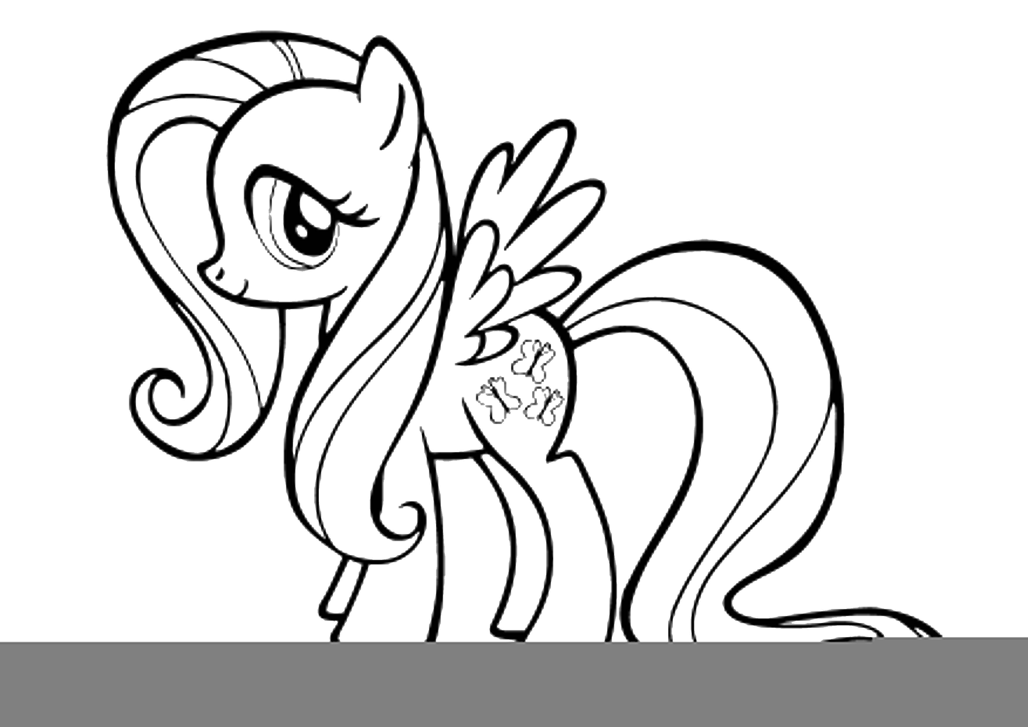 Coloring Winged ponies. Category my little pony. Tags:  ponies, butterflies, wings, tail.