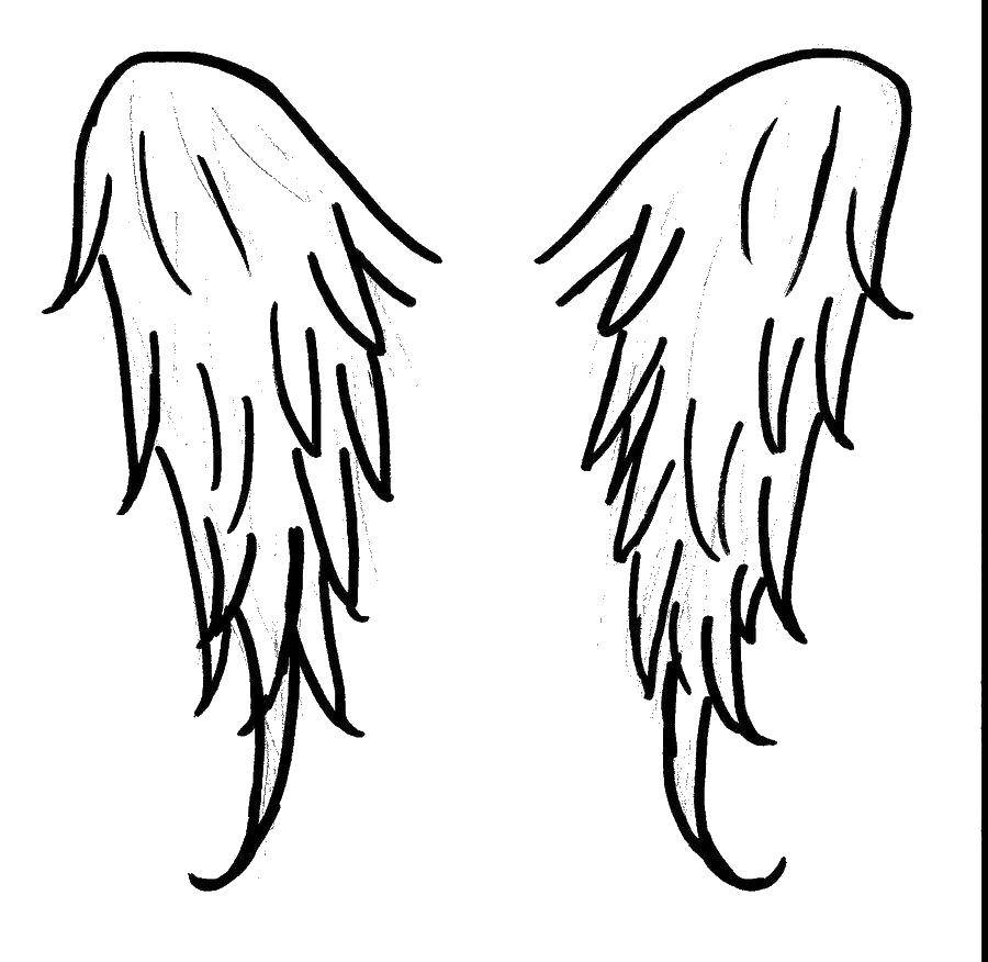Название: Раскраска Крылья ангелочка. Категория: раскраски. Теги: крылья, ангел, контур.