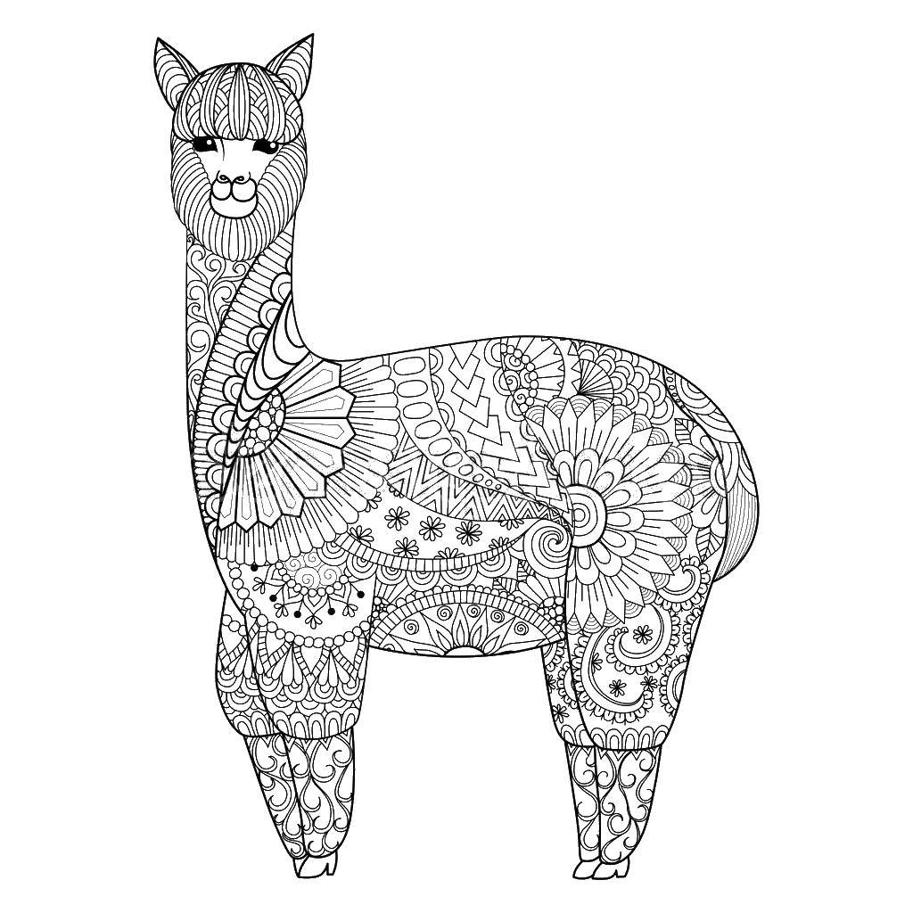 Coloring Lama and patterns. Category Animals. Tags:  llama, patterns.