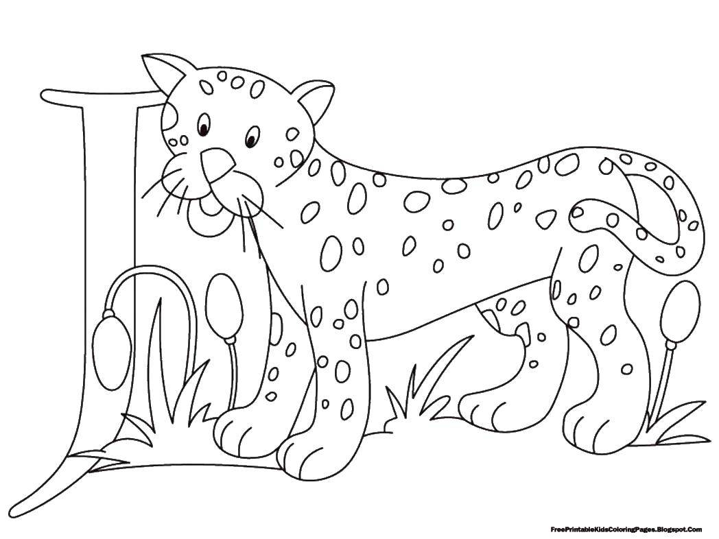 Название: Раскраска Маленький гепард. Категория: Животные. Теги: животные, гепарды, кошки.
